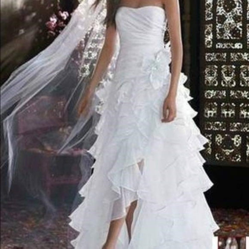 Wedding Dress - Picture 5 of 7